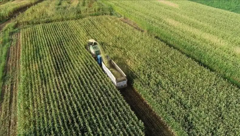 Mart 2025 Mazot ve Gübre Desteği Ödemeleri İçin Gözler Bakanlıkta