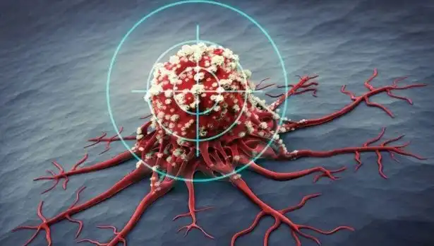 Prostat Kanserine Karşı Savaşan 6 Güçlü Besin: Uzmanlar Açıkladı