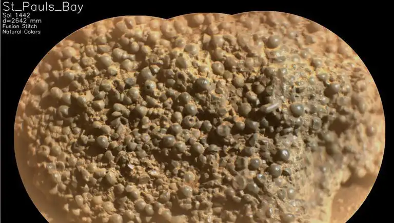 Mars’ta Gizemli Örümcek Yumurtaları Keşfedildi: Bilim Dünyası Hayrete Düştü