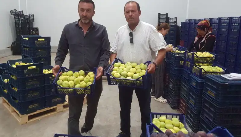 Mersinli Çiftçinin Bahar Sevinci: 20 TL'den İhraç Edilen Ürünler!