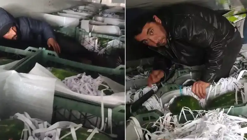 Karpuz Yüklü Tırda Göçmen Krizi: Sıcak Yaz Gününde Şok Edici Olay