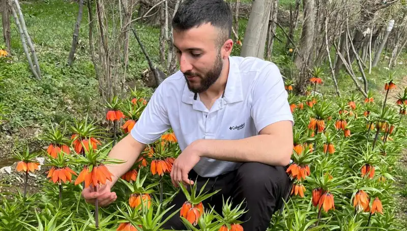 Ağlayan Gelin: 20 Günlük Ömrü ve Kırılgan Güzelliği İçin 244 Bin Lira Ceza