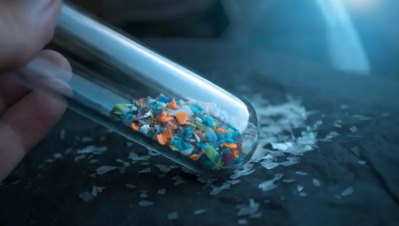 Mikroplastikler İnsanın Beynine Ulaşarak Sağlık Üzerindeki Etkilerini Gözler Önüne Seriyor