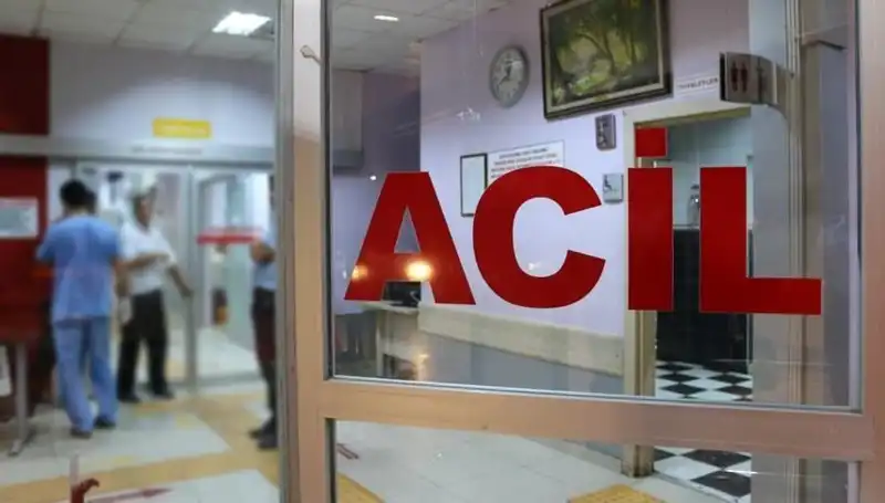 Rize'de Trajik Kaza: Ağaç Kesimi Sonrası Hayatını Kaybetti