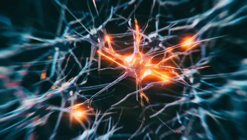 Alzheimer Vakalarındaki Artış: Nedenleri ve Gelecek Öngörüleri