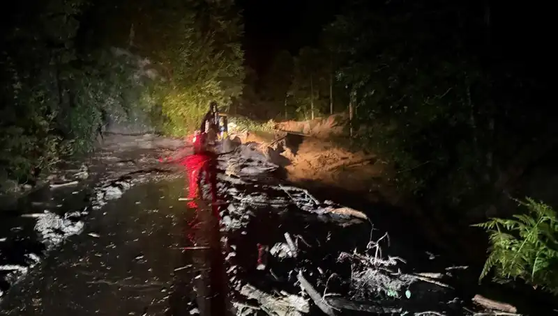 Rize'de Şiddetli Yağışlar Hayatı Olumsuz Etkiliyor: Sel ve Heyelan Tehlikesi!