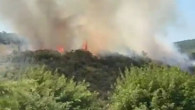 İstanbul'da Korkutan Orman Yangını: Vatandaşlar Tahliye Ediliyor