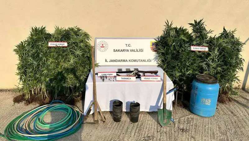 Sakarya’da Uyuşturucu Operasyonu: Suç İstihbaratı ile Tek Tutuklama