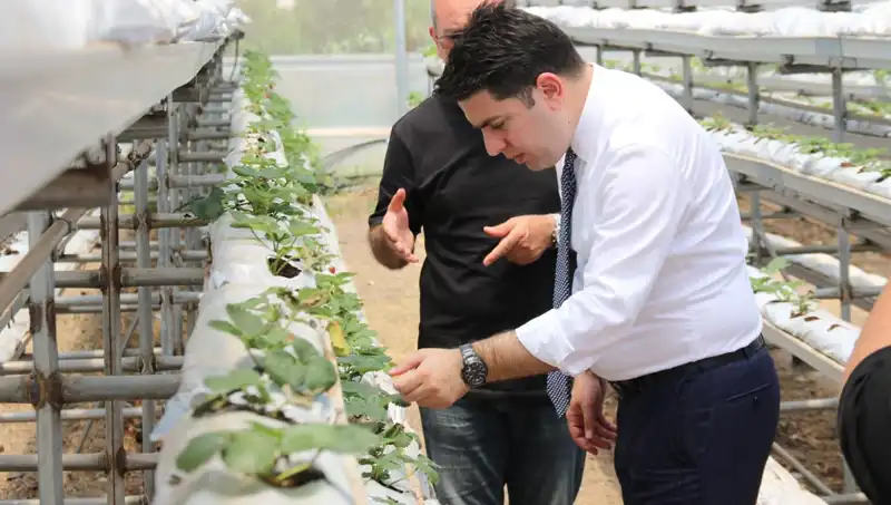 Topraksız Tarım ile Damat Çatlatan Lezzet: Lüks Gastronominin Yeni Yüzü
