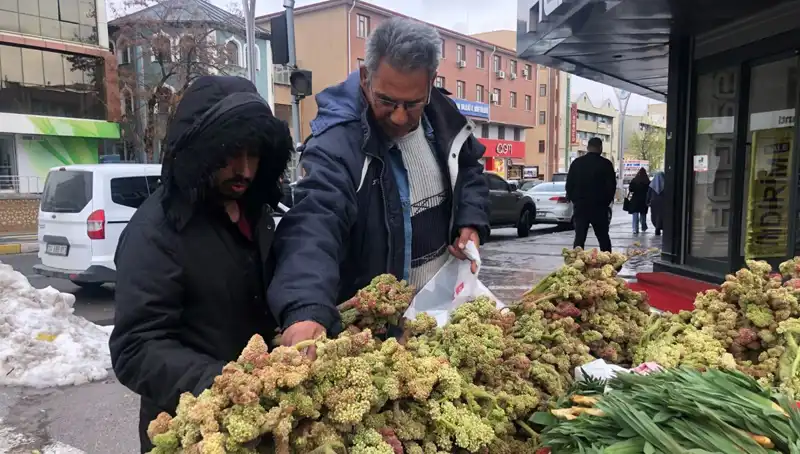 Kendiliğinden Yetişen Vitamin Deposunun Kanserle Mücadelesindeki Rolü Nedir?